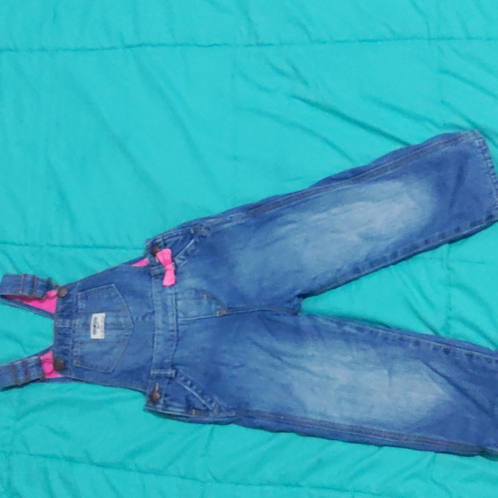 Fleece lined overalls